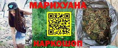 ешки Бийск